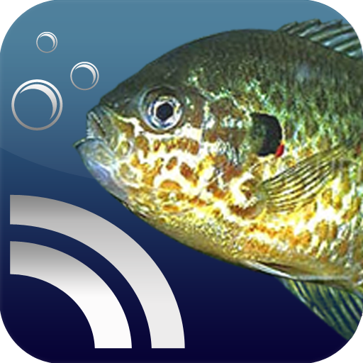 FishID - Know every fish, fish every spot and spot the best catch