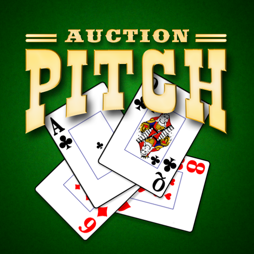 Auction Pitch