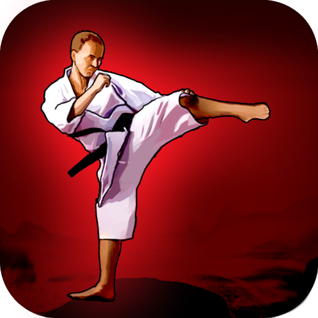 Kung Fu 3D icon