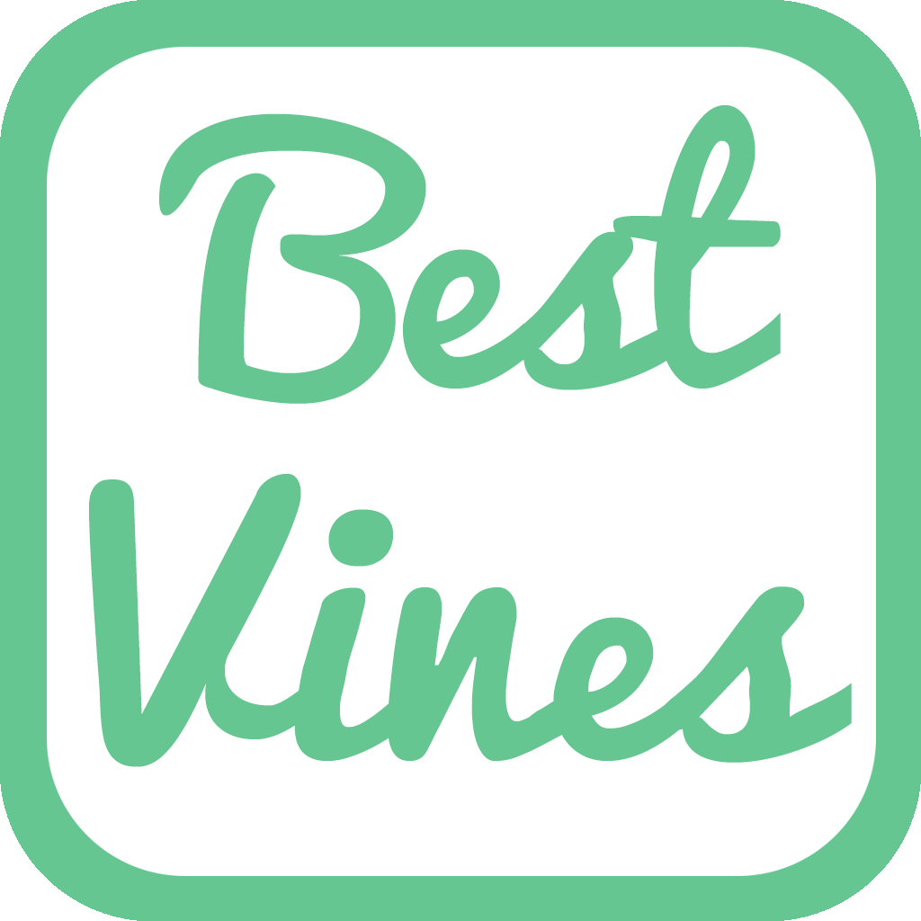 The Best Vines - Watch and Download The Most Popular Vine Video Clips Instantly! icon
