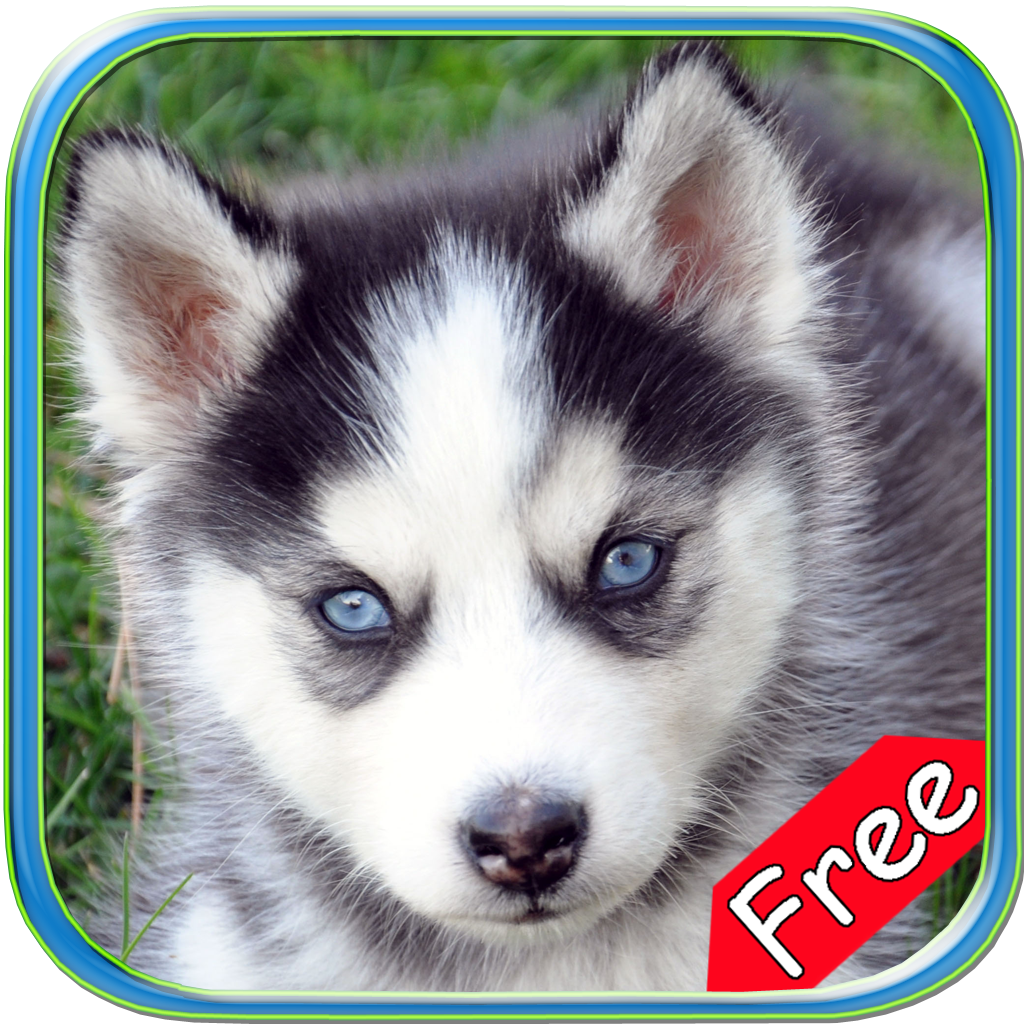 Husky+ Free icon