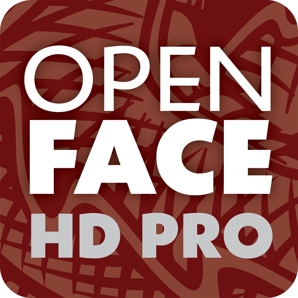 Open Face Chinese Poker HD