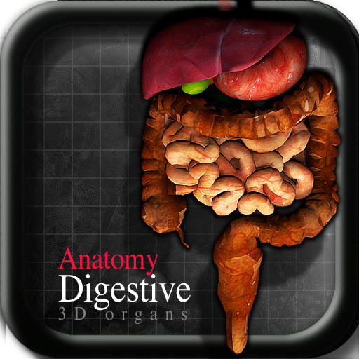 Anatomy Digestive 3D Organs icon