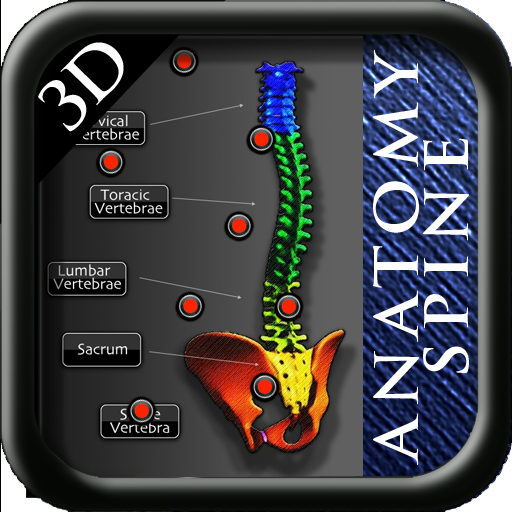 Anatomy Spine icon