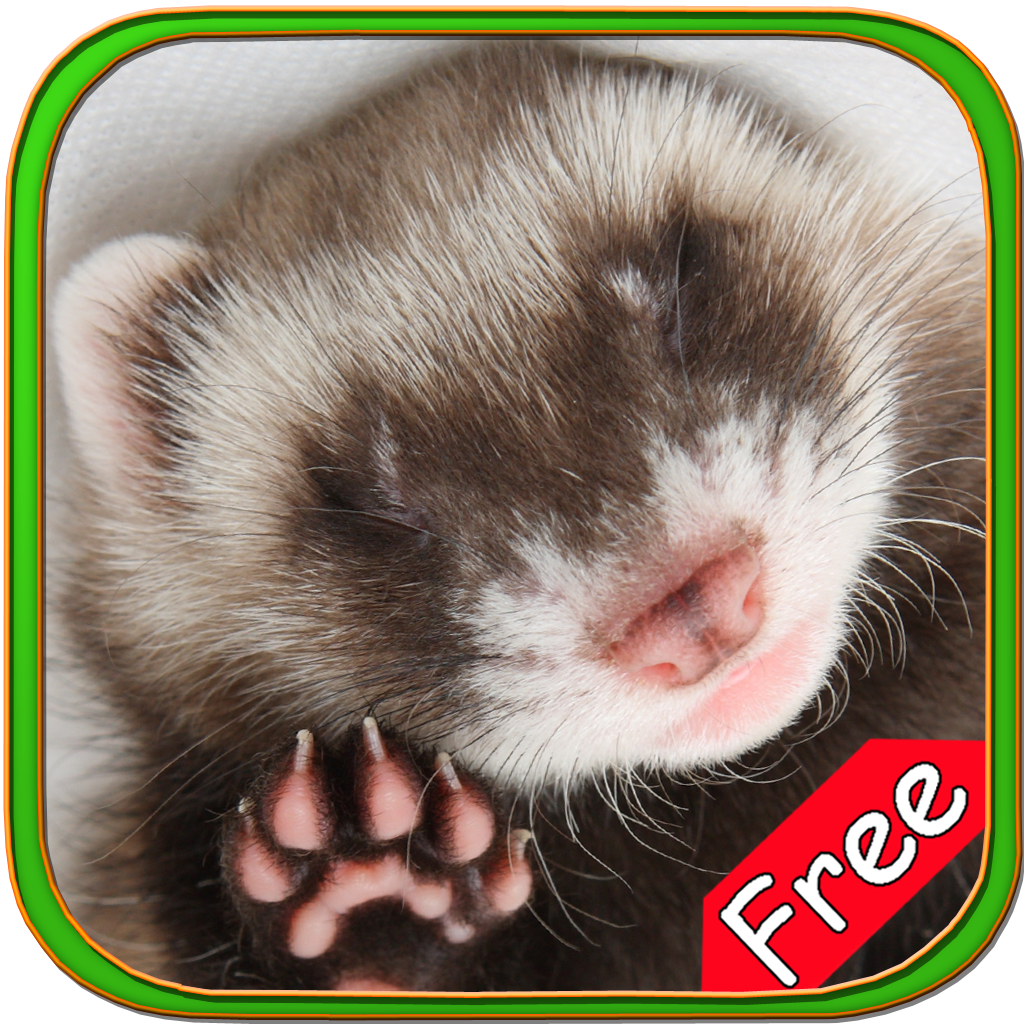 Ferrets+ Free icon