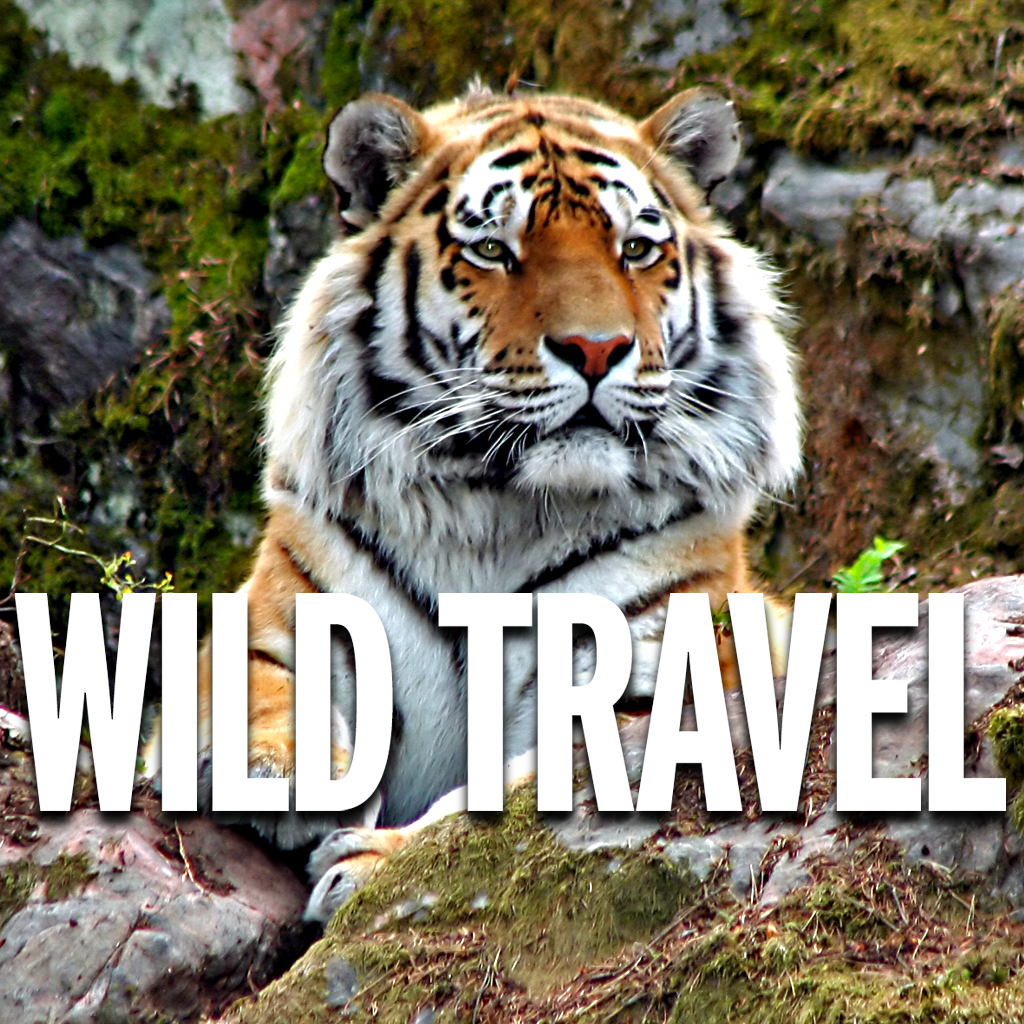 Wild Travel Magazine icon