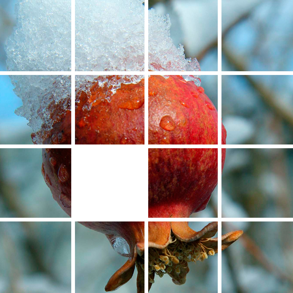 Photo Fifteen Puzzle icon