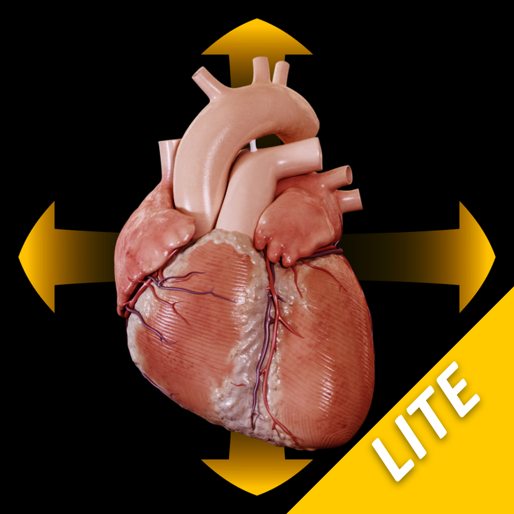 Heart - Spinning 3D Anatomy - Lite icon