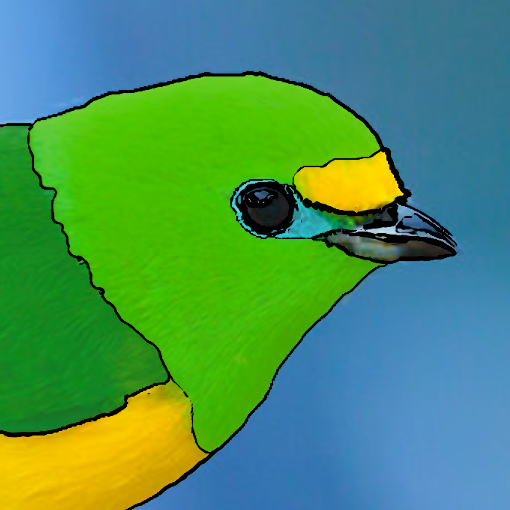 BirdsEye South America - Bird Finding Guide