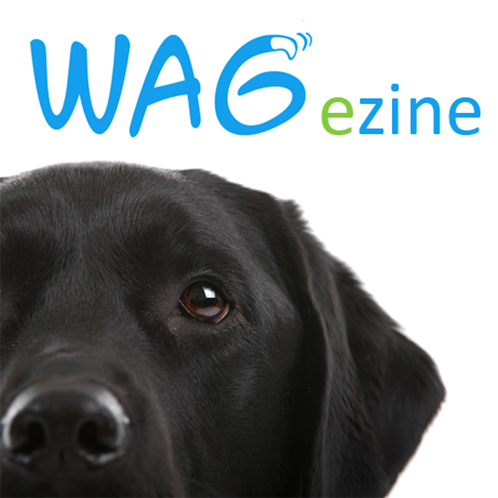 Wagezine - dog magazine