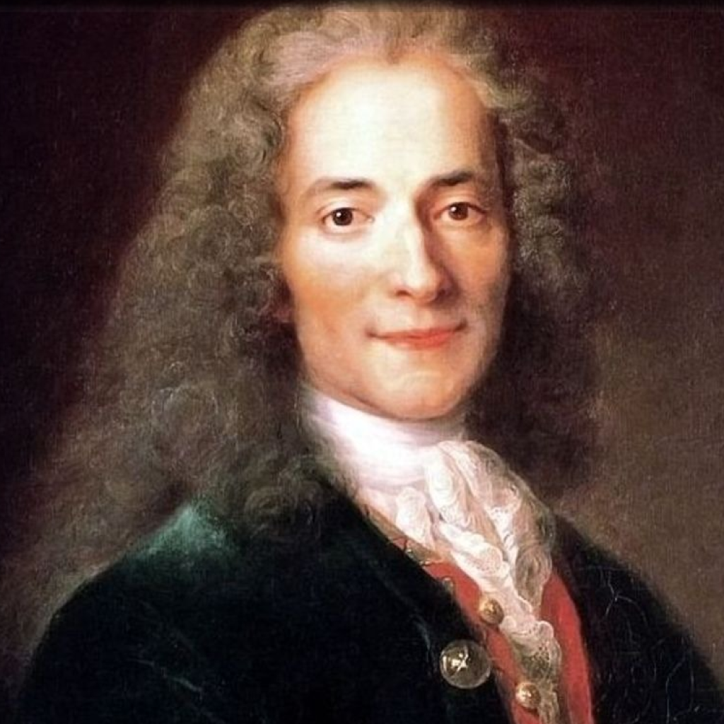 Voltaire: A Historical Collection