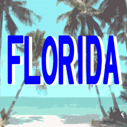 FloridaReversi icon
