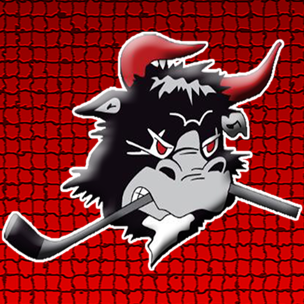Rødovre Mighty Bulls icon
