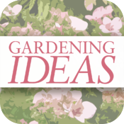 Gardening Ideas