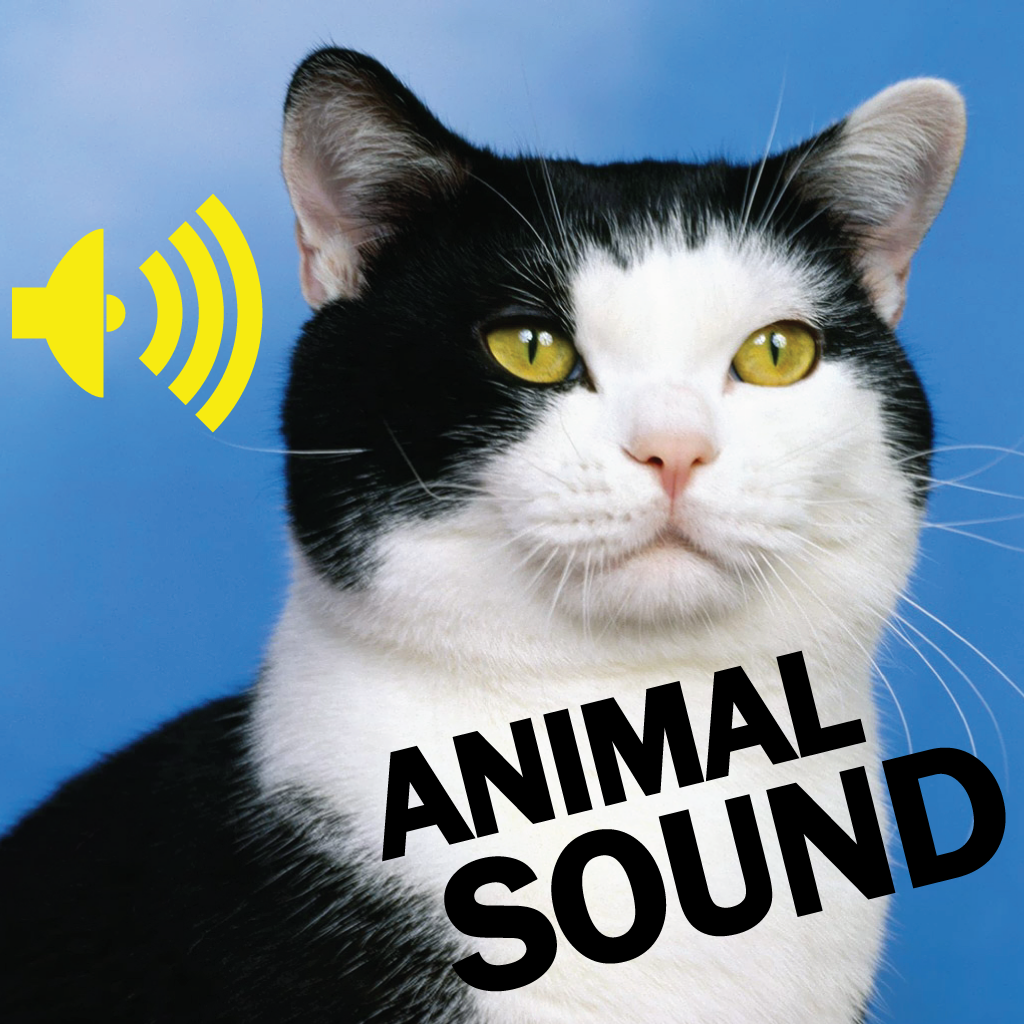Animal Amazing Sound Effect