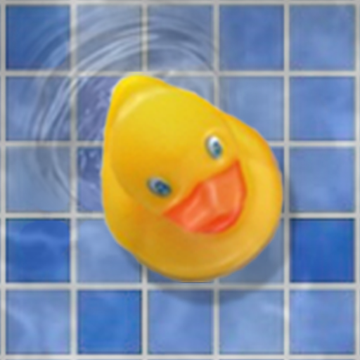 Follow The Ducks icon