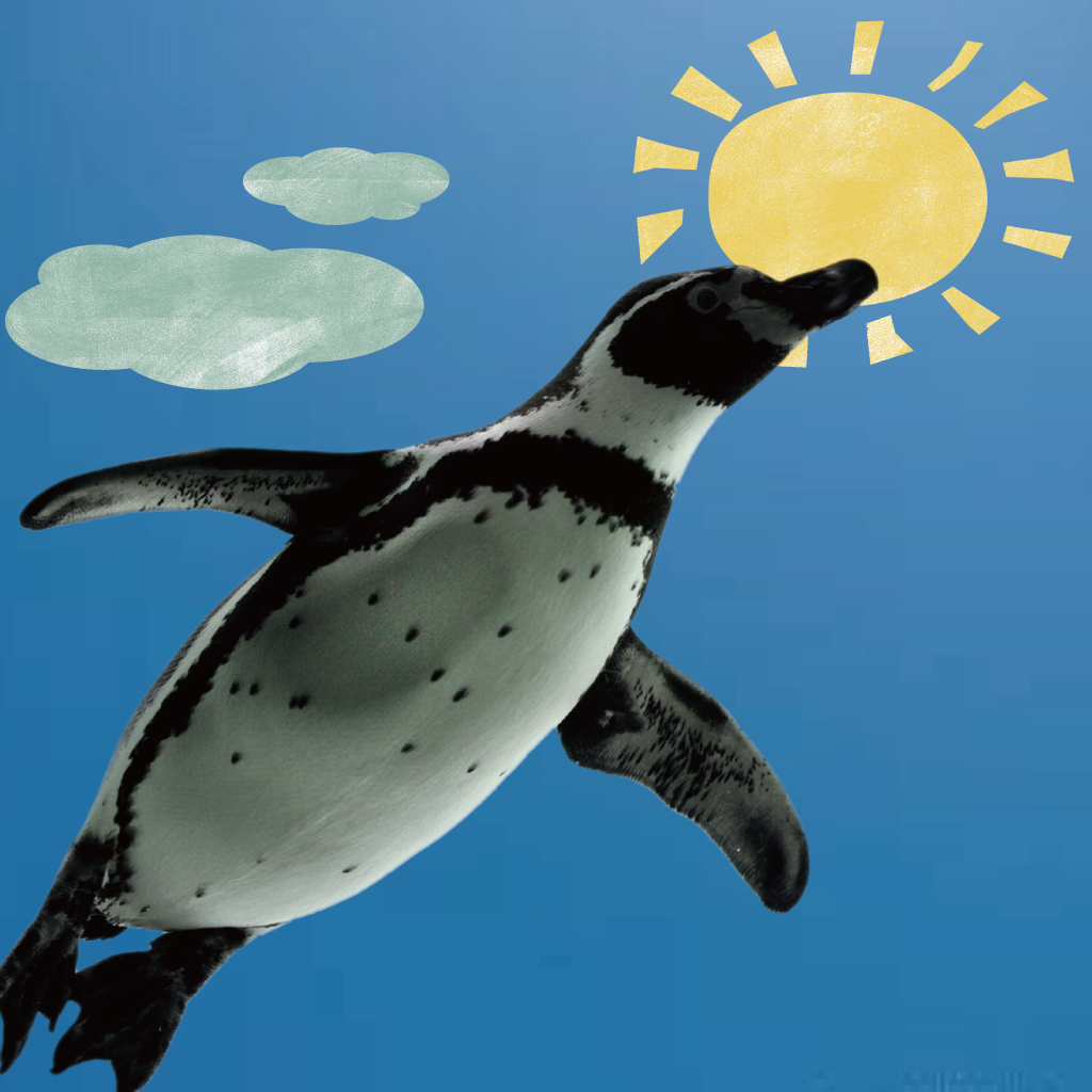 Penguin in the sky