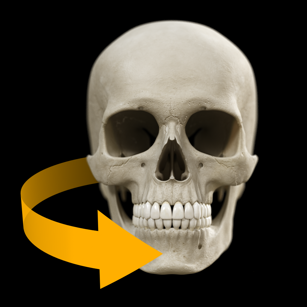 Skull - 3D Atlas of Anatomy icon