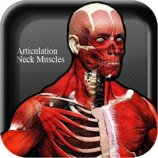 Articulation Neck Muscles