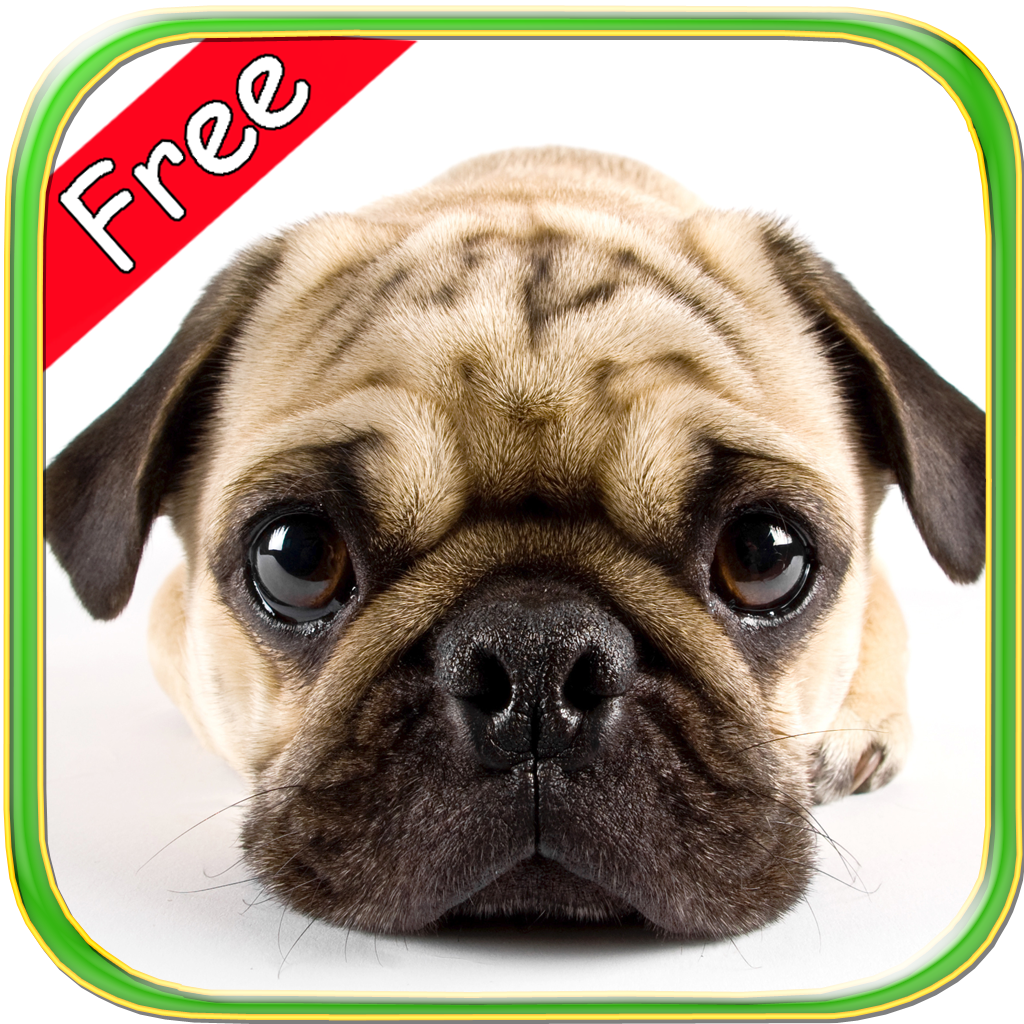 Pug+ Free icon