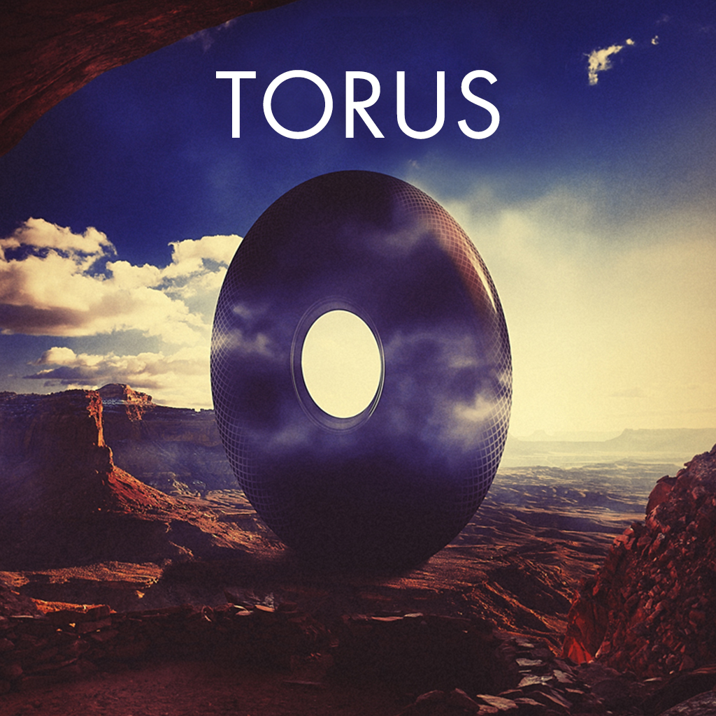 Sub Focus Torus
