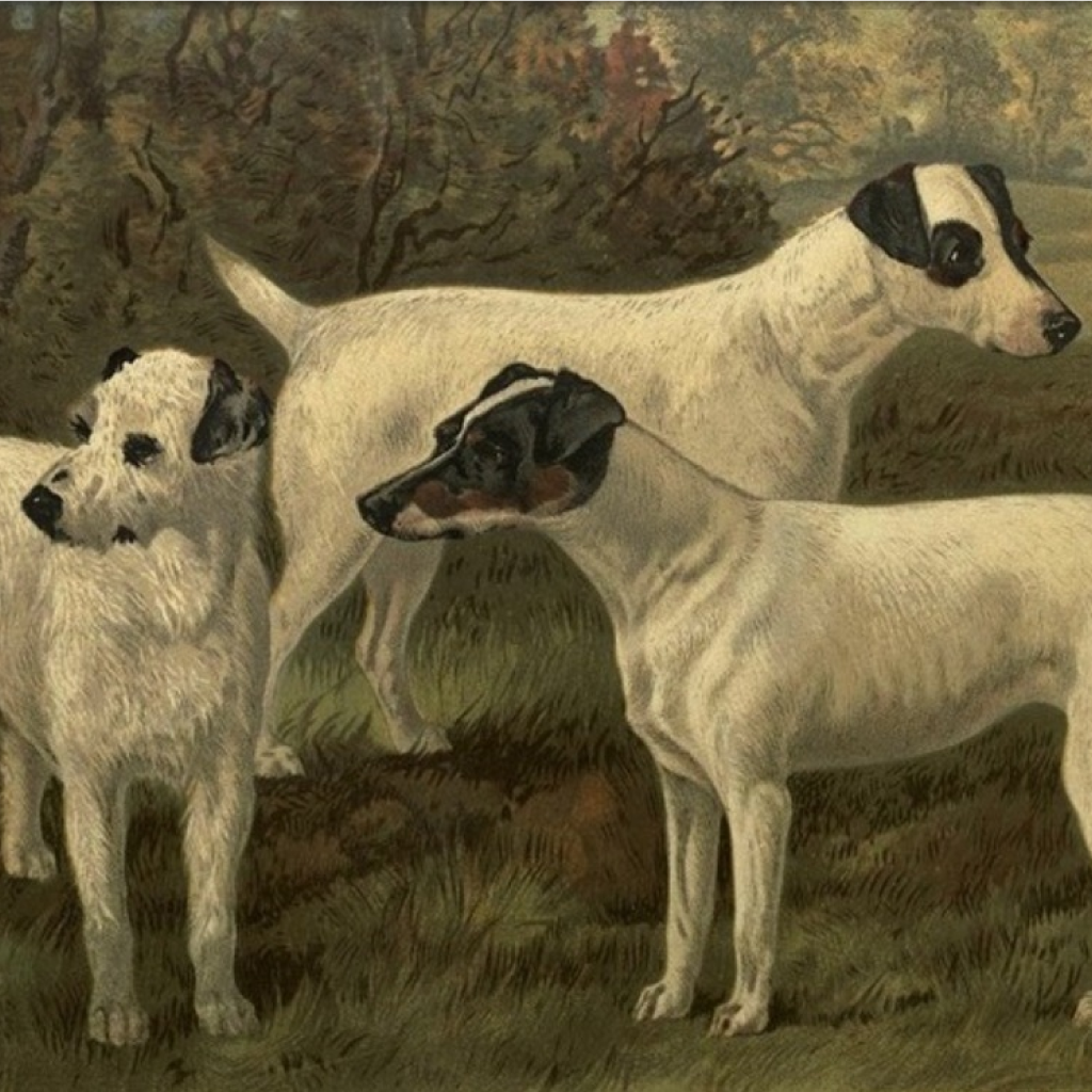 Dogs: A Historical Collection