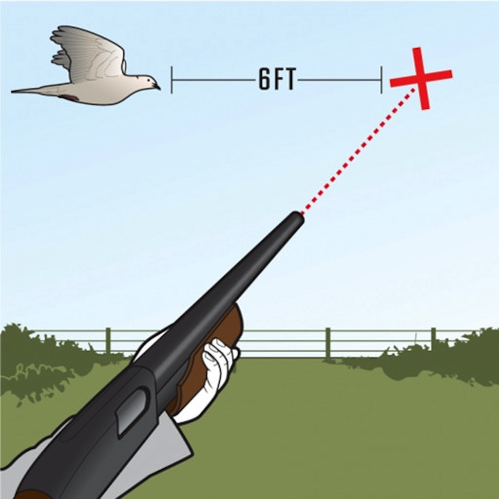 Splashy Bird Hunting Challenge icon