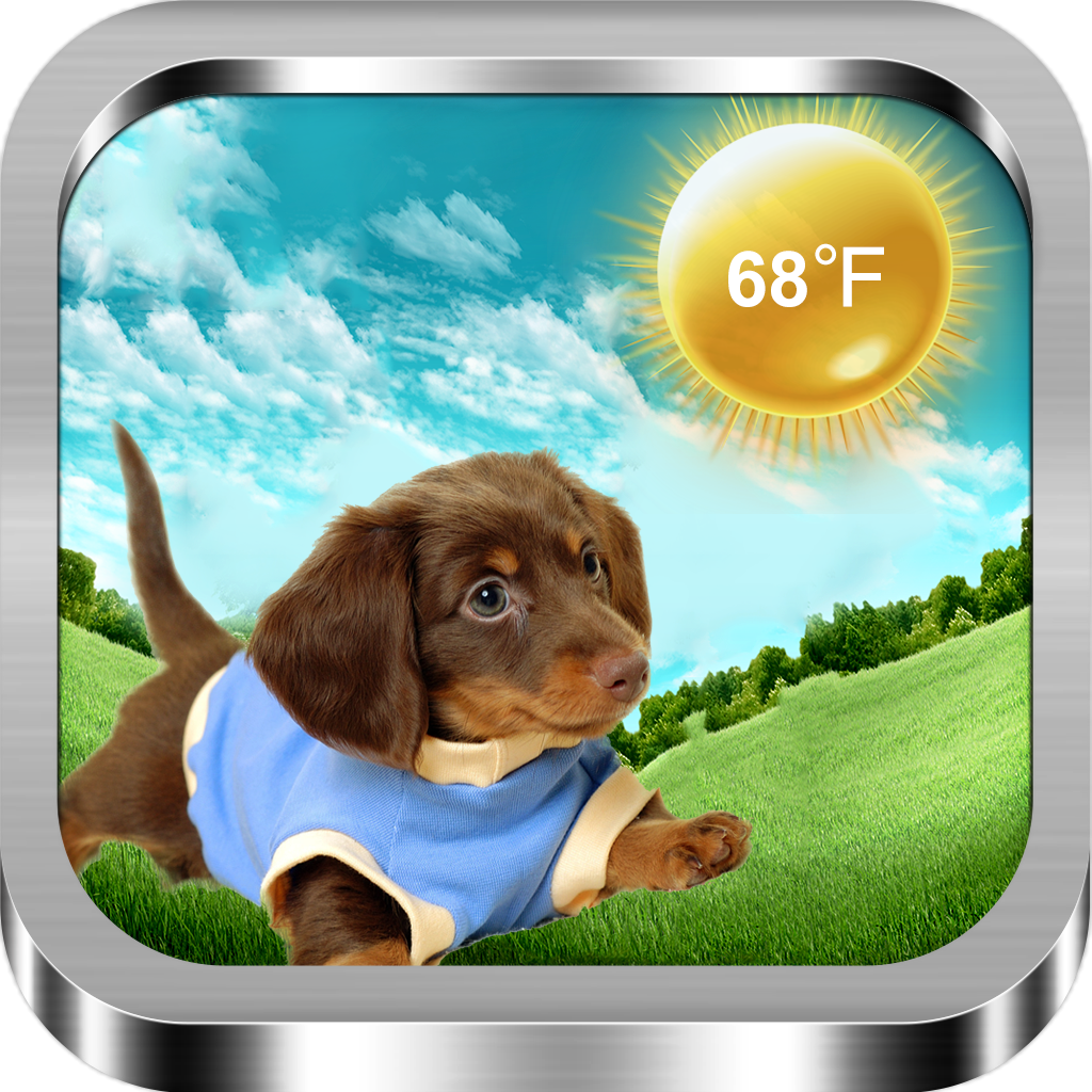 Puppy Weather icon