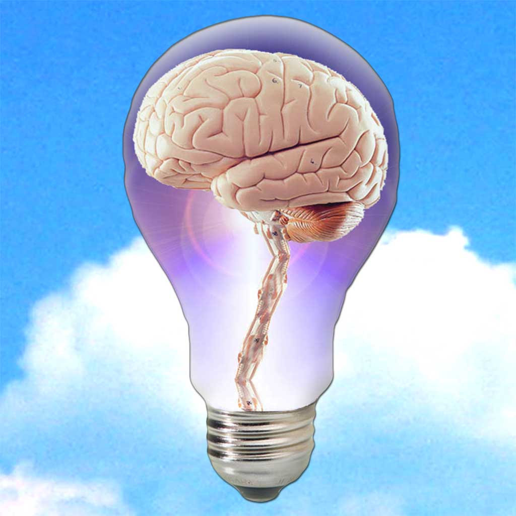 NewsBrain - The Learning News Magazine