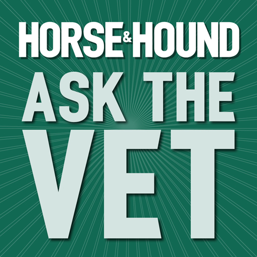 Horse & Hound Ask the Vet