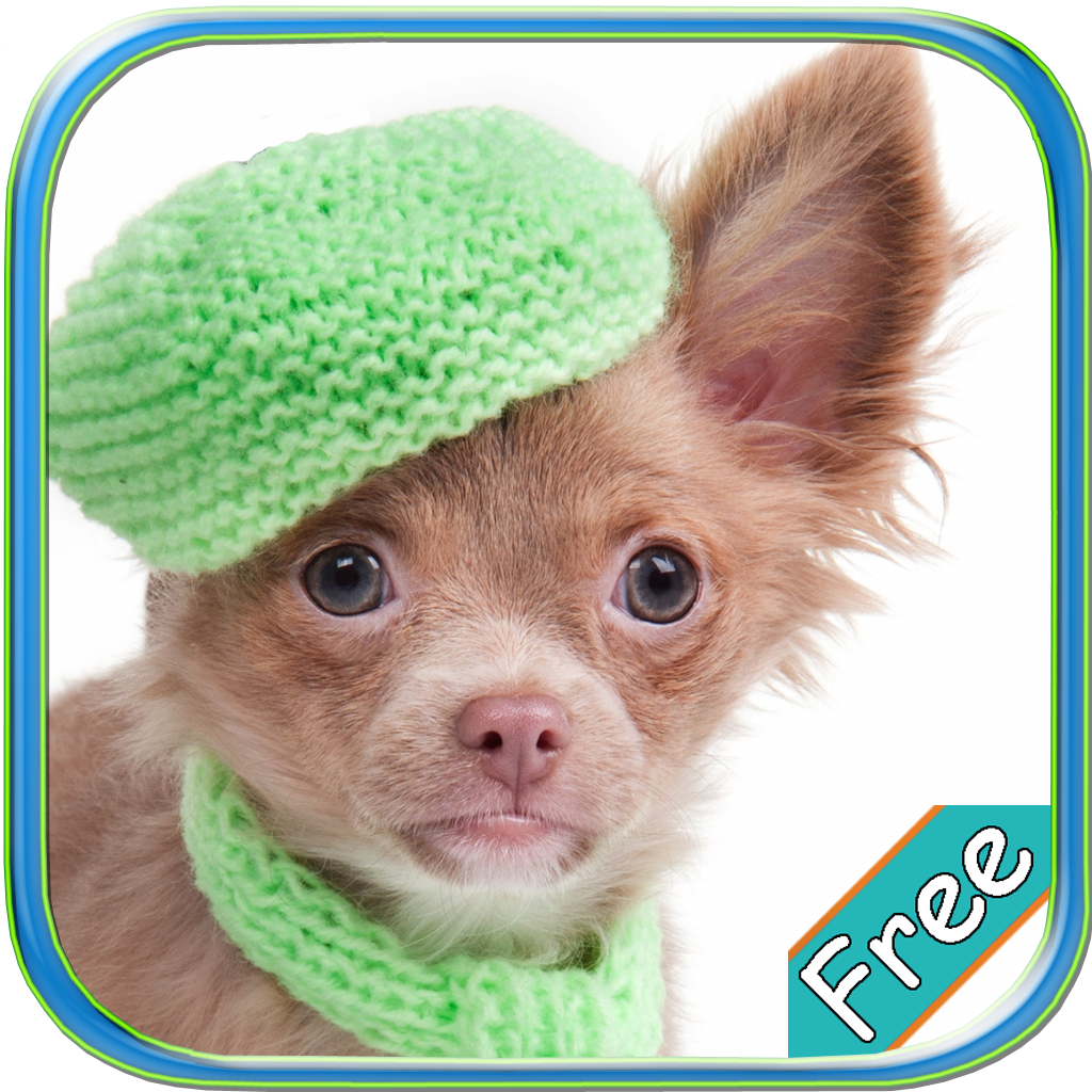 Chihuahua+ Free icon