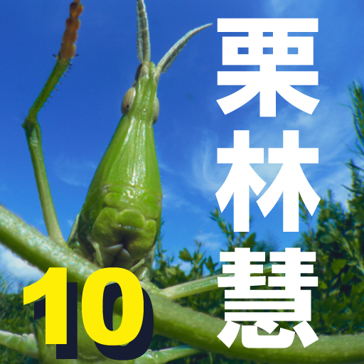 Insect Photobook Free Edition -The World of KURIBAYASHI,SATOSHI- icon
