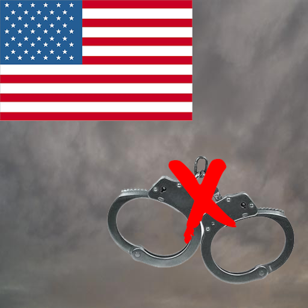 Common US Laws icon
