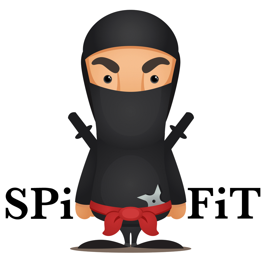 SPiFiT Training icon