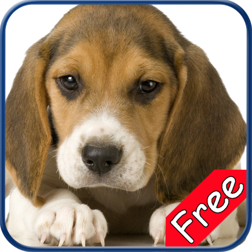 Beagle+ Free icon