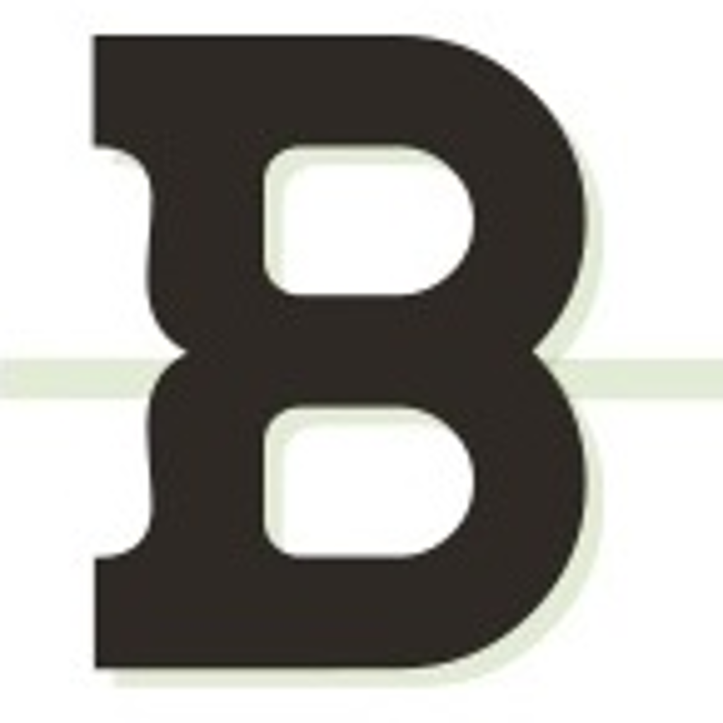 BOLO 2013 icon