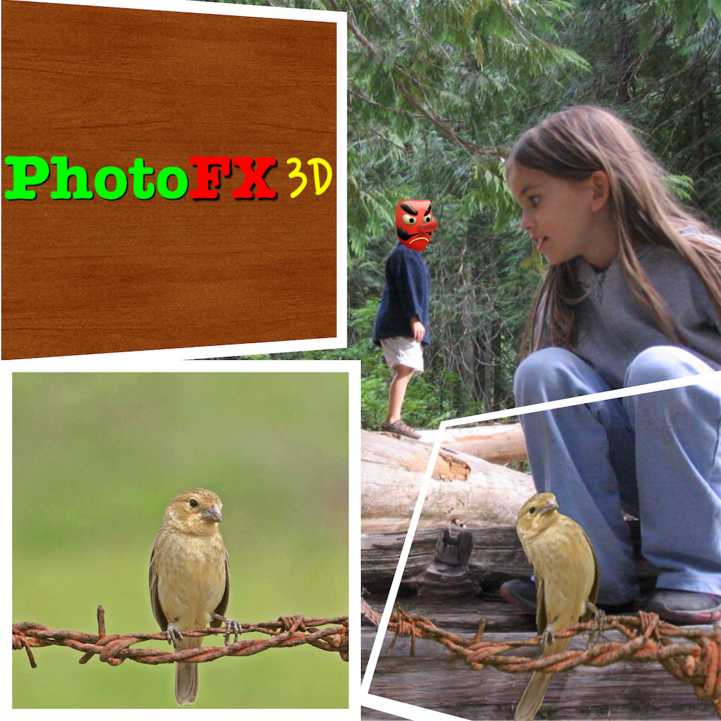 PhotoFX 3D icon