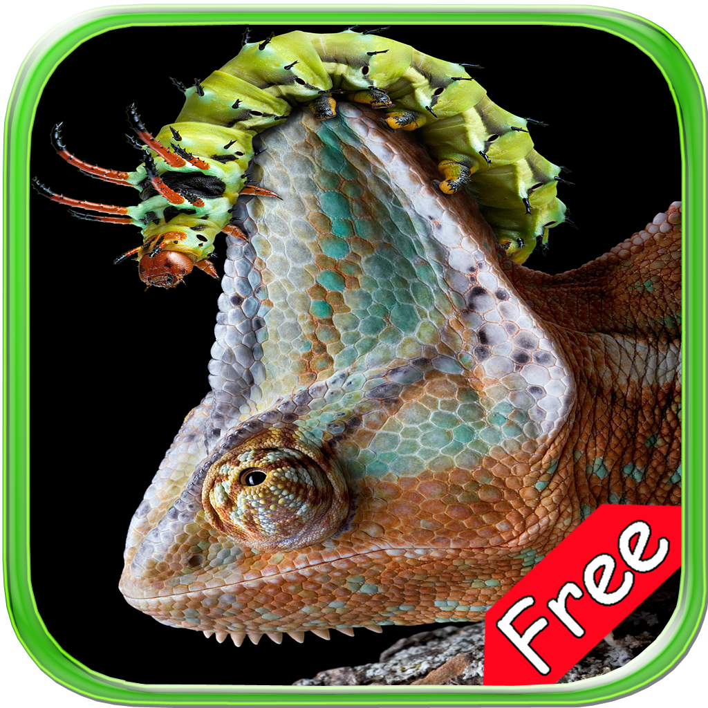 Chameleon+ Free icon