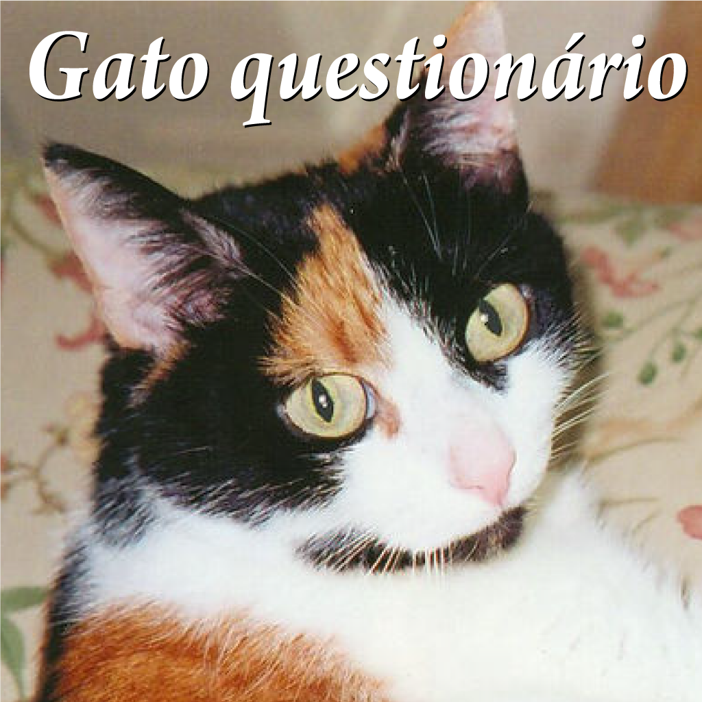 Gato questionário