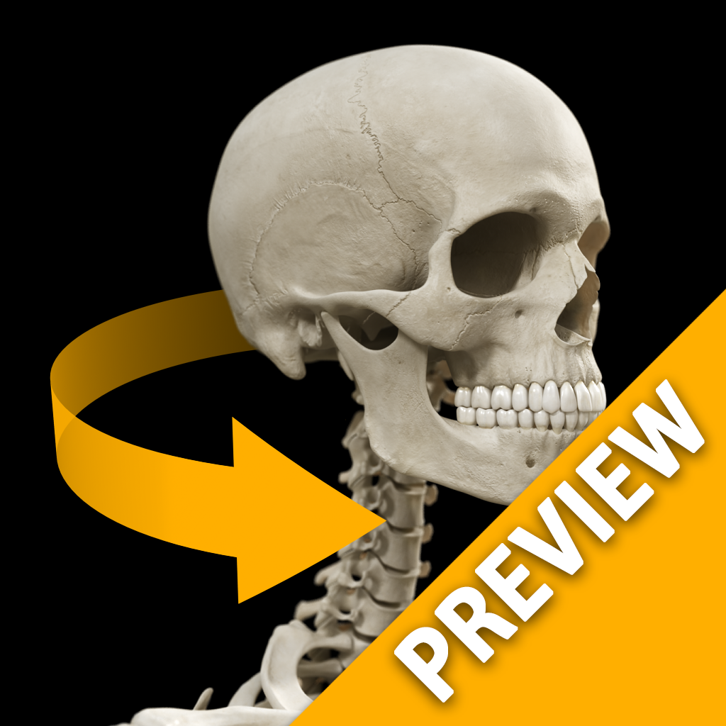 Skeletal System - 3D Atlas of Anatomy - Preview Version icon
