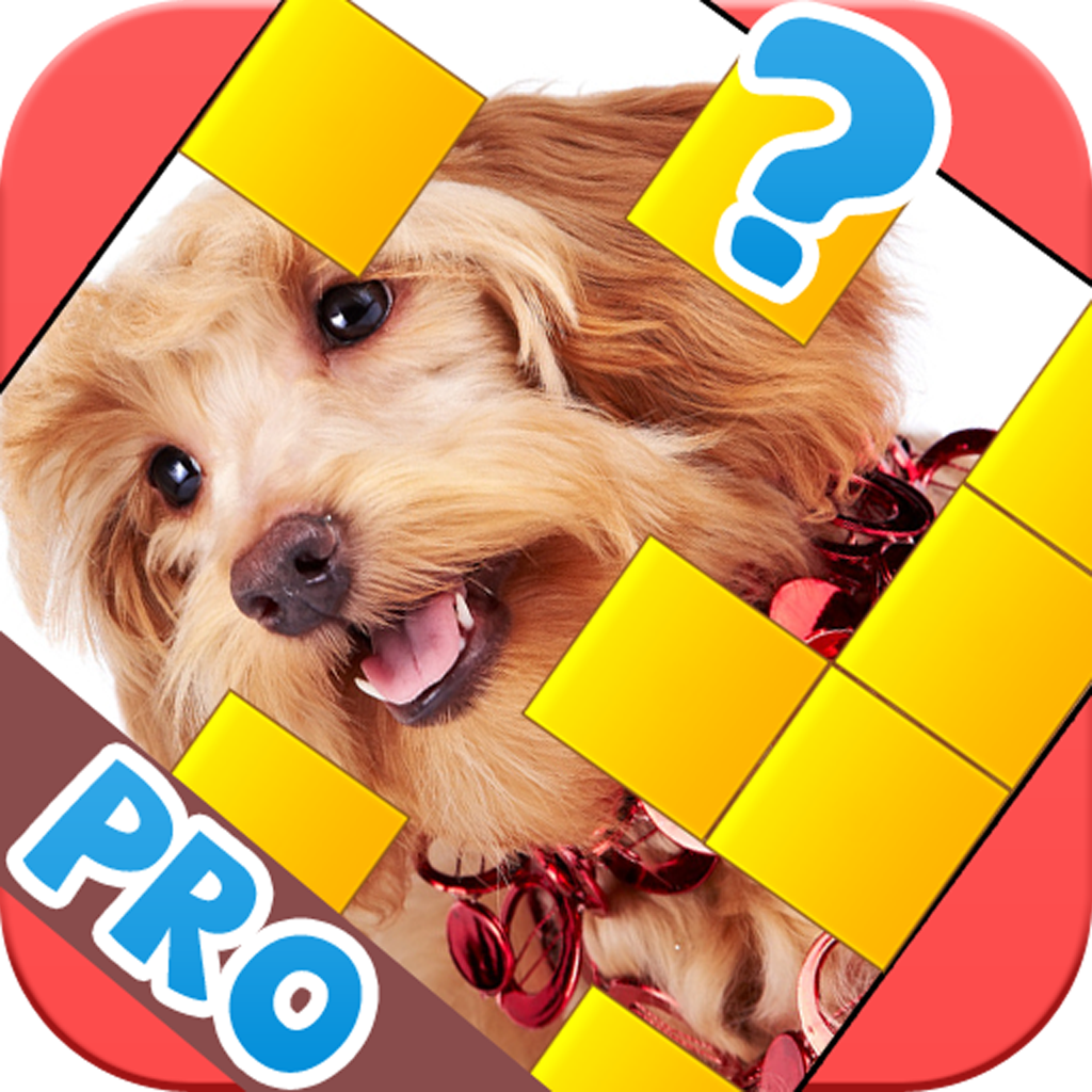 Pic Guesser Pro - Word Game for iPad