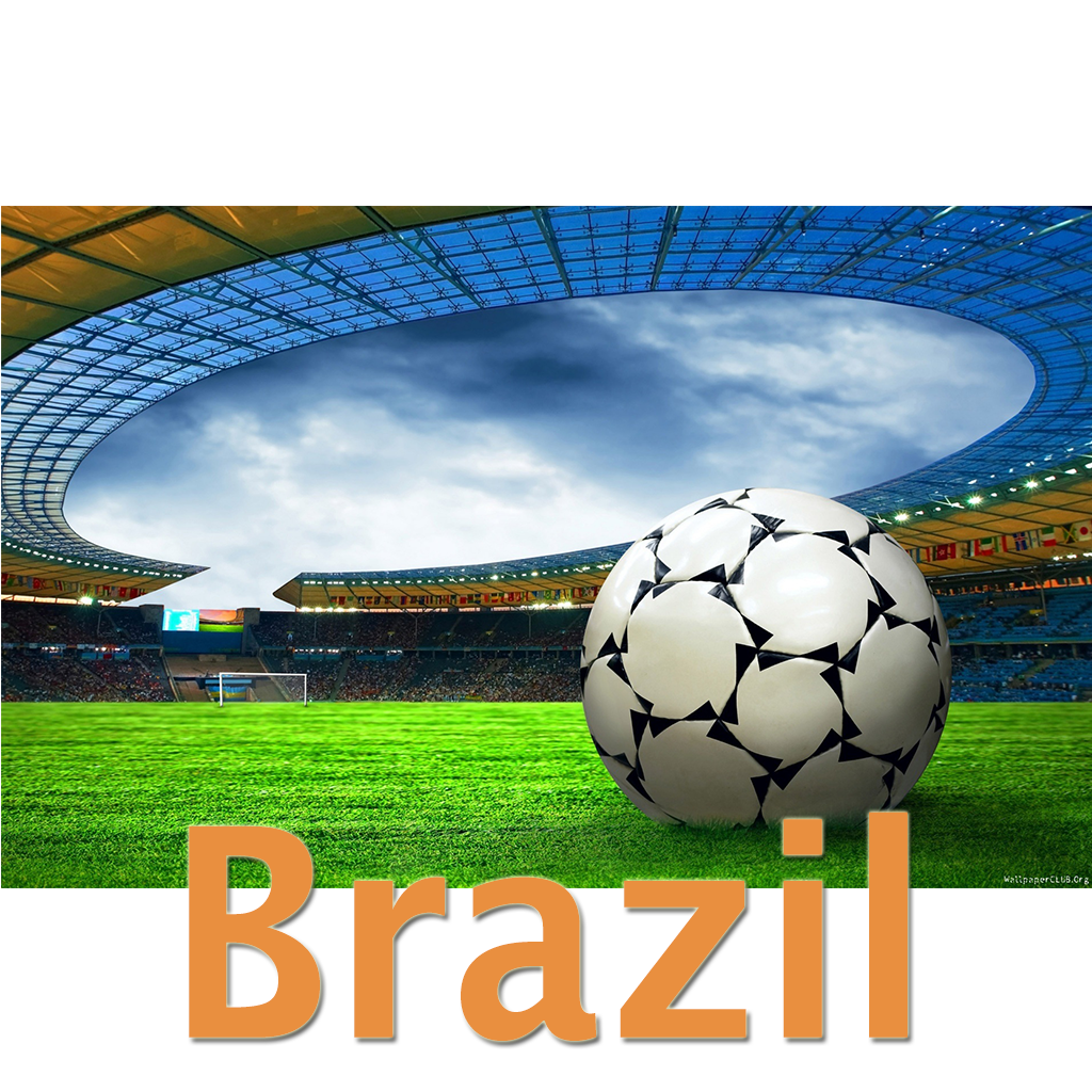 Football World Championship 2014 icon