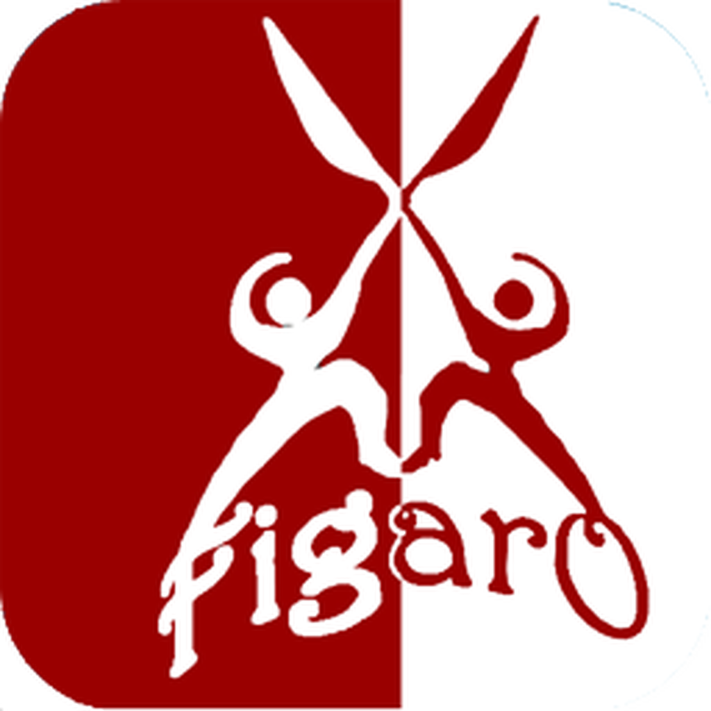 Салон Figaro icon