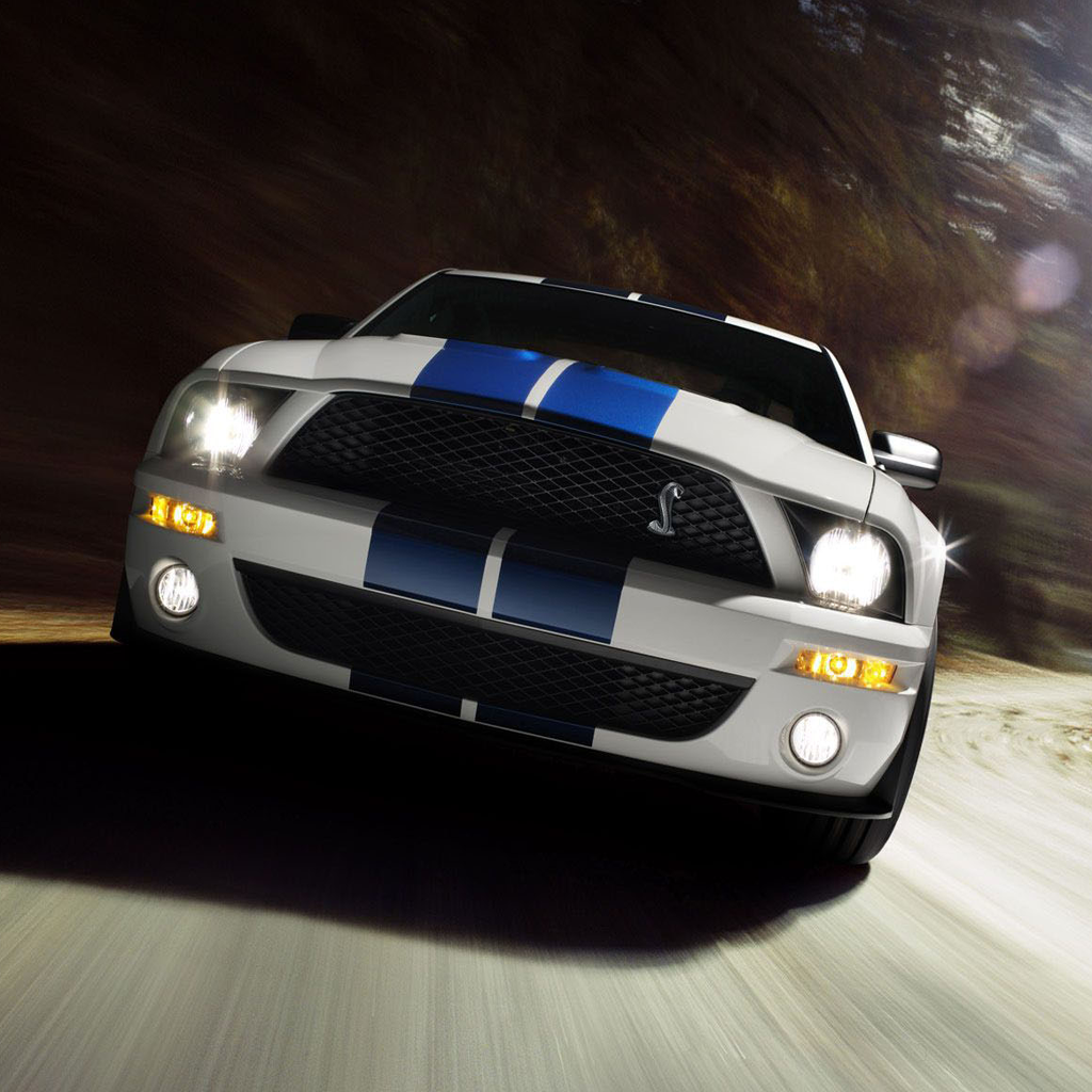 Mustang Book icon