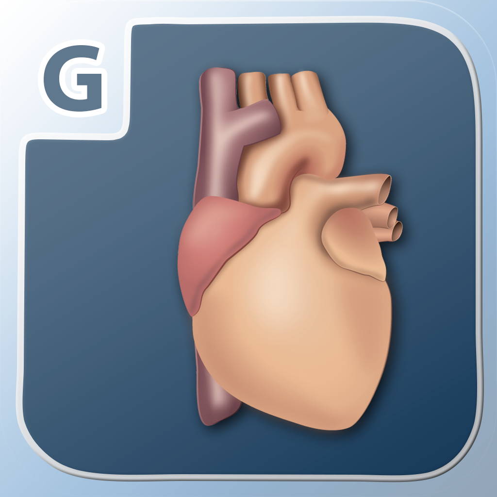 Heart Anatomy - MCAT Prep icon