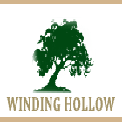 Winding Hollow icon