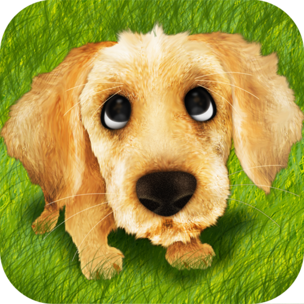 Perfect Dog Breed: Complete Guide & Info icon