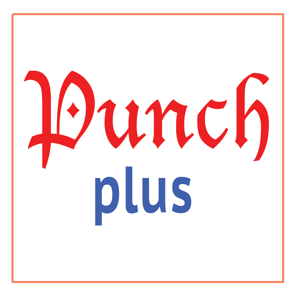 Punch Plus