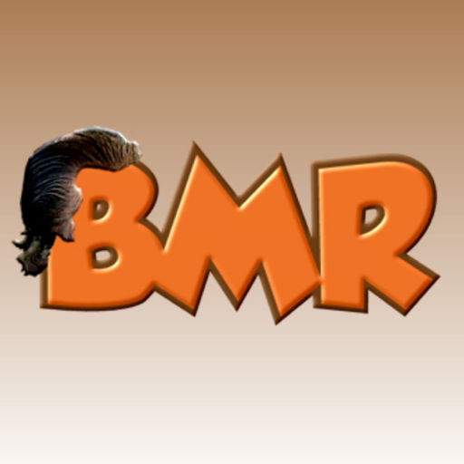 Barry Melrose Rocks icon