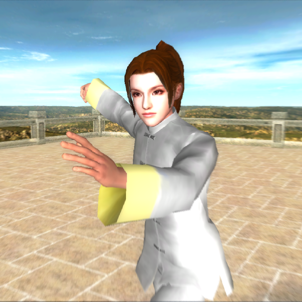3D Tai Chi Chuan 8 and 16 Forms